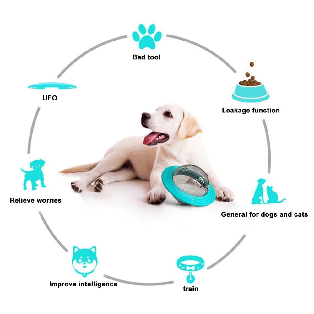 Rompecabezas Comedero para Perros y Gato